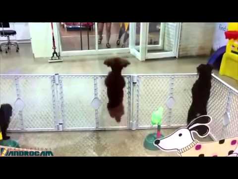 We take it to the Extreme!!