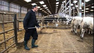 Thumbnail del capítulo