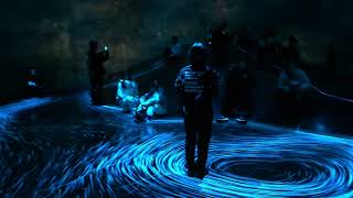 teamlab borderless 精華集錦