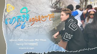 ហេតុអ្វីមនុស្សខ្ញុំស្រលាញ់មិនមែនមនុស្សស្រលាញ់ខ្ញុំ | សីហា_SeyHa [ Official Audio ]