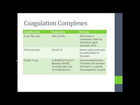 Basic Hemostasis Chapter 1