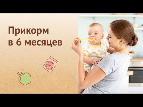 Прикорм в 6 месяцев: что предлагать крохе?
