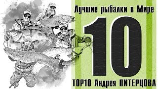 Ссылка