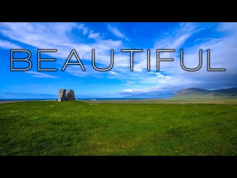 BEAUTIFUL BIRDS ON IS NATURAL habitats🌿