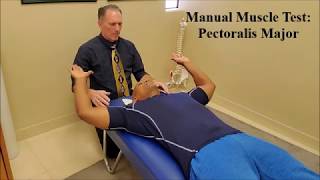 Manual Muscle Testing (MMT) Pectoralis Major (Pec Major)