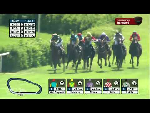 Wagnis gewinnt Diana-Trial in Hoppegarten