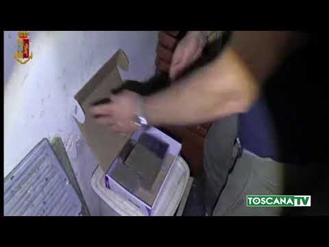 2019-03-22 PISTOIA - DROGA, SGOMINATA RETE DI SPACCIO A PISTOIA