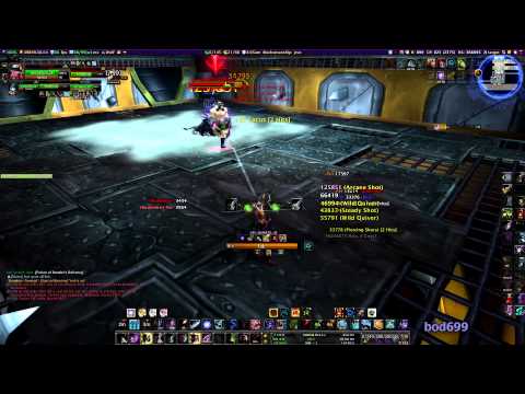 Brawlers Guild - Rank 9 Fight 3 vs Doctor FIST.