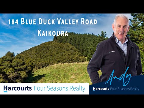 184 Blue Duck Valley Road, Seaward Valley, Seaward Valley, Marlborough, 0房, 0浴, 土地