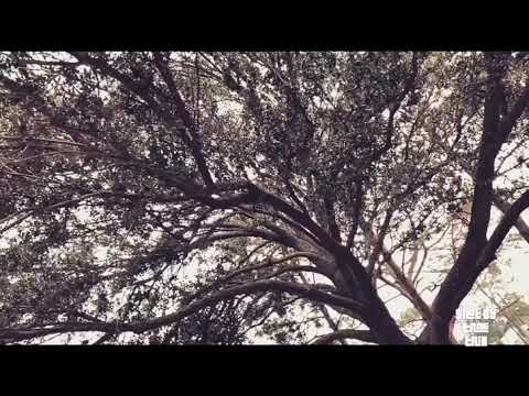 VIS - 70068 (prod. by Blu Majic)