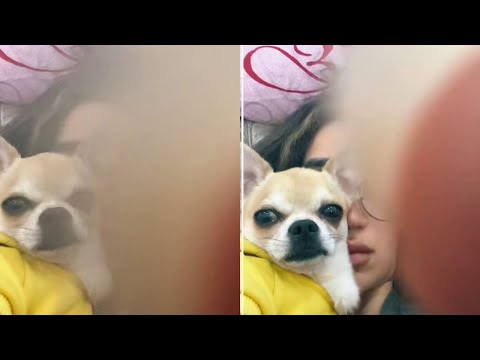 #لمى_شريف  lama.shreif