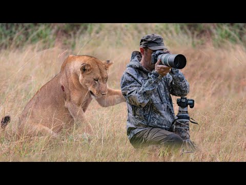 20 Times Wild Animals Caught Photographers Off Guard
