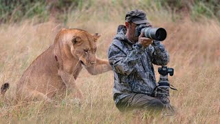 This Lioness Surprised The Photographer In An Unexpected Way