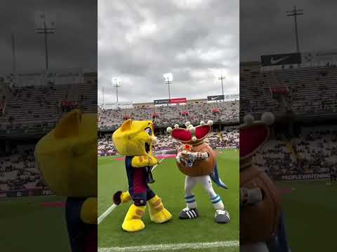 Best mascot ever🤣😱