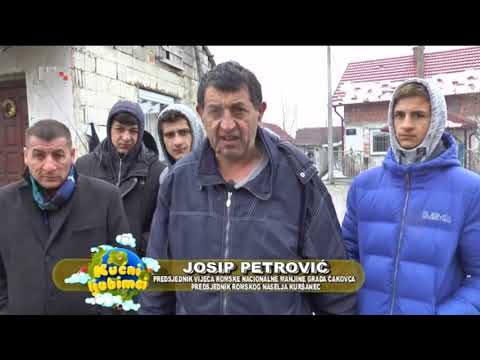 Psi u romskim naseljima