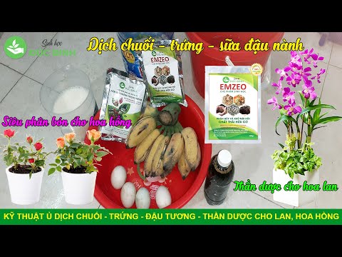 Trang chủ 1 Trang chủ 1