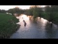 CRHnews Down By The Riverside Roger McGuinn