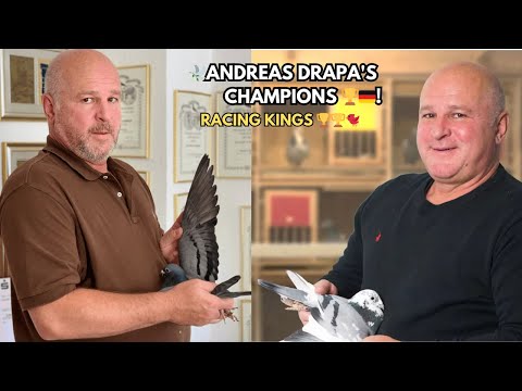 Andreas Drapa German 🇩🇪 Racing Pigeons: Top Champions in the Sport .