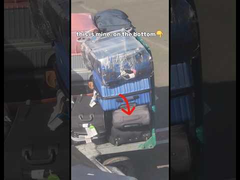 How airport baggage handler keep your baggage 👍