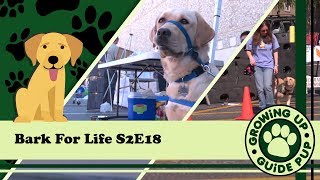 GUGP Season 2 - Week 18 - Bark For Life