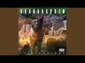 Hunted Down - Soundgarden - Topic Hunted Down