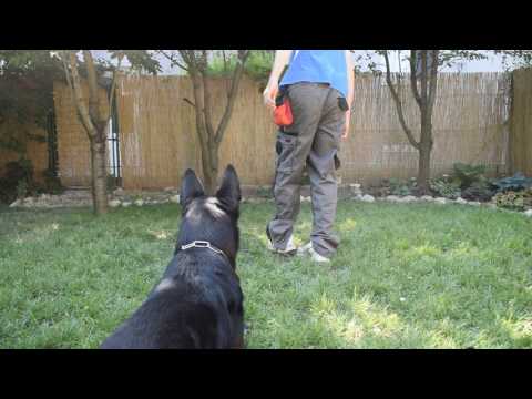 Boonie nad Vlčou Dolinou 5.7.2017