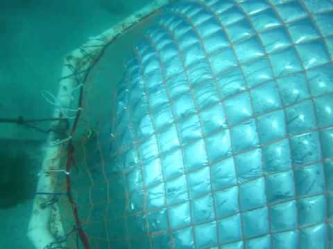 The original Underwater Bubble Room - full video!