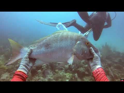 Antigua Spearfishing - Let The Shaft Fly 2 (tank dive)