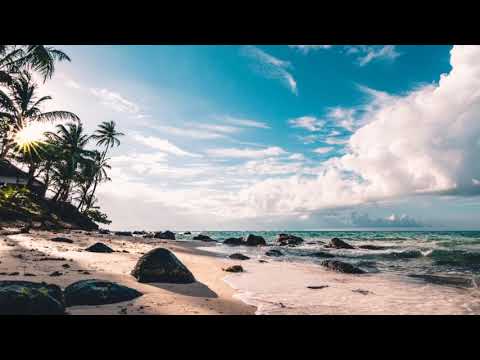 Potato Deal - Craig MacArthur