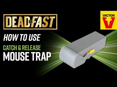 Deadfast Catch & Release Mouse Traps Video