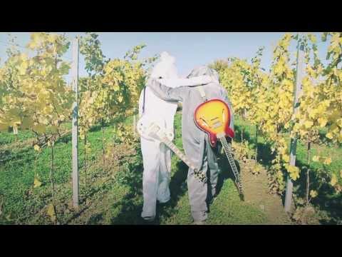 FAMP - MOVE ON (Official)