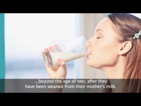 Dijo Le Bophelo - Episode 13: Lactose Intolerance