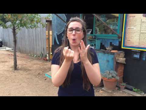 One Minute With Drisana: Food and Wine Expo