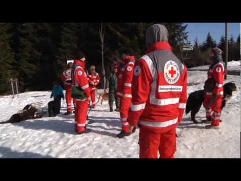 ehrenamtliche Arbeit im DRK Freital