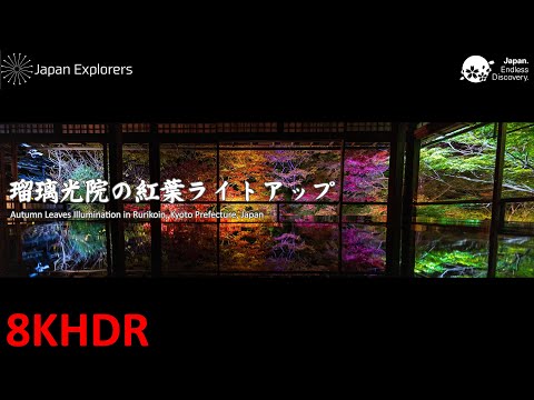 瑠璃光院の紅葉ライトアップ 2021 Autumn Leaves in Rurikoin 8KHDR