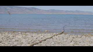 TEASER TRAILER 1 - THE LEGEND OF THE BEAR LAKE MONSTER