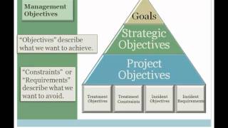 Lesson 1: Policy and Planning