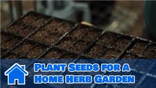 Gardening Basics : How to Plant Seeds for a Home Herb Garden