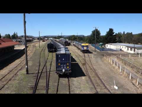 EL54 / EL51 / VL355 shunting wagons in Goulburn - 27/1/14