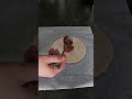 UNE FOODS Premium Pro Fi Protein Pizzateig Genussvoll Nährstoffreich Bewusst Salami Pizza