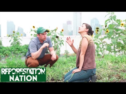 World's Biggest Rooftop Farm Revolutionizes New York City
