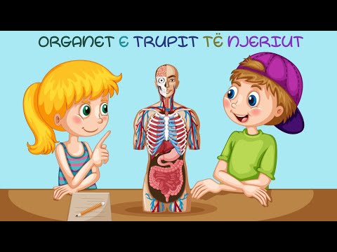 Pjeset e trupit | Human body parts |  @Diell | Argetohemi ne shqip