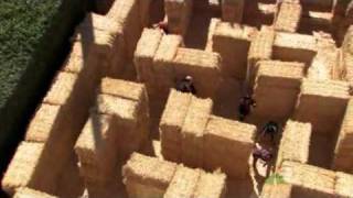 The Office: Kevin stuck in hay maze