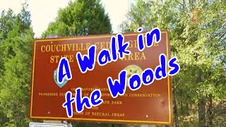 A Walk in the Woods