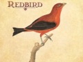 "Ithaca" by Peter Mulvey. Album: Redbird, 2003, w/Jeffrey Foucault & Kris Delmhorst. With lyrics.