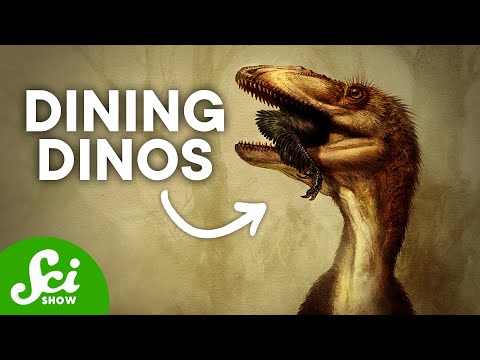 5つの恐竜の夕食と彼らが教えてくれたこと (5 Dinosaur Dinners and What They Told Us)