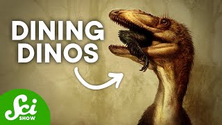 5 Dinosaur Dinners and What They Told Us