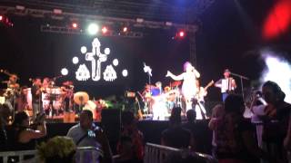 Una Cruz de Madera Lila Downs Tehuantepec