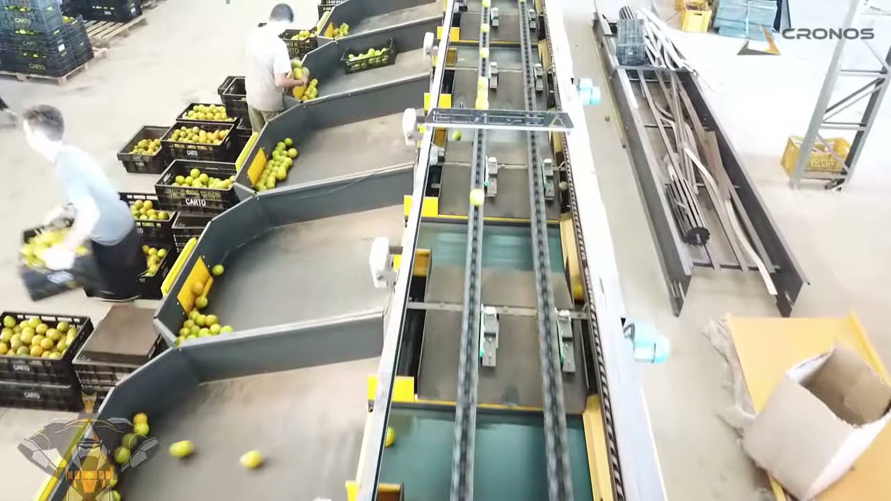 Máquina lavar, polir, encerar e classificar Laranja Completa - Cronos Agrícola e Industrial