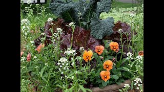 Weekly May Garden Stroll